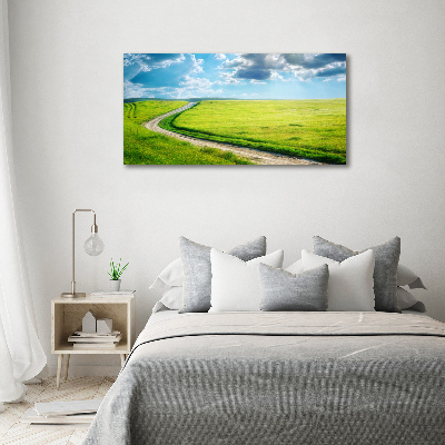 Printed glass wall art Path in the meadow