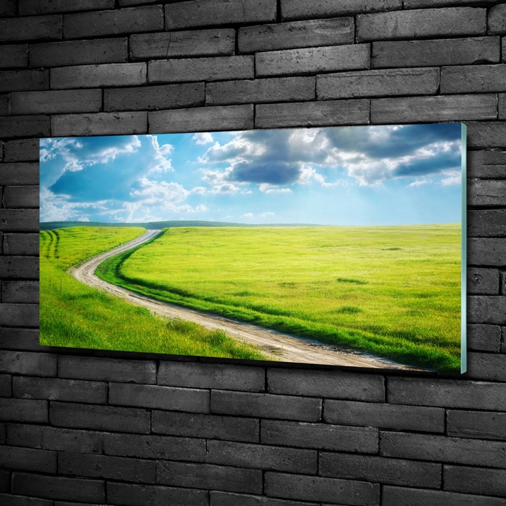 Printed glass wall art Path in the meadow