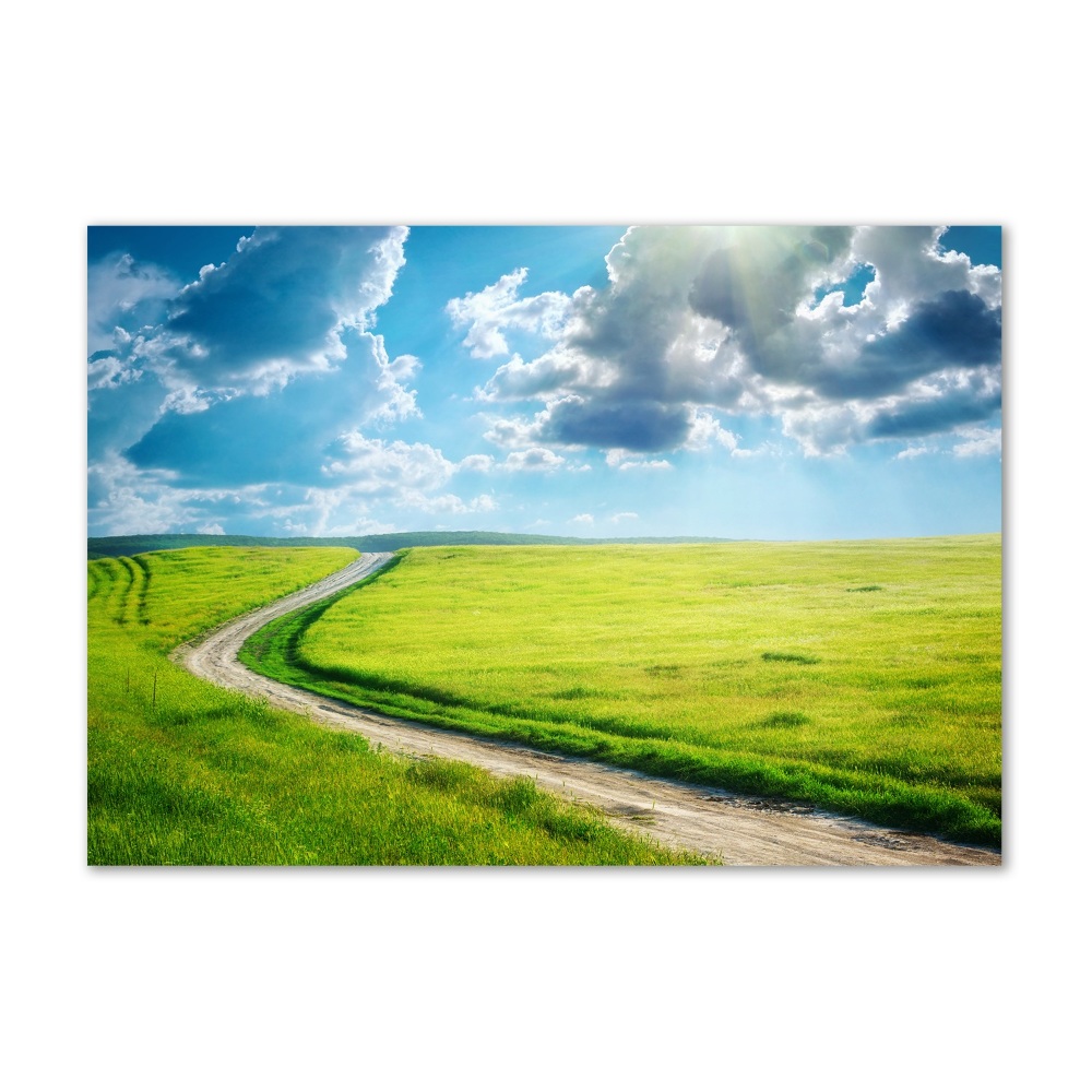 Printed glass wall art Path in the meadow