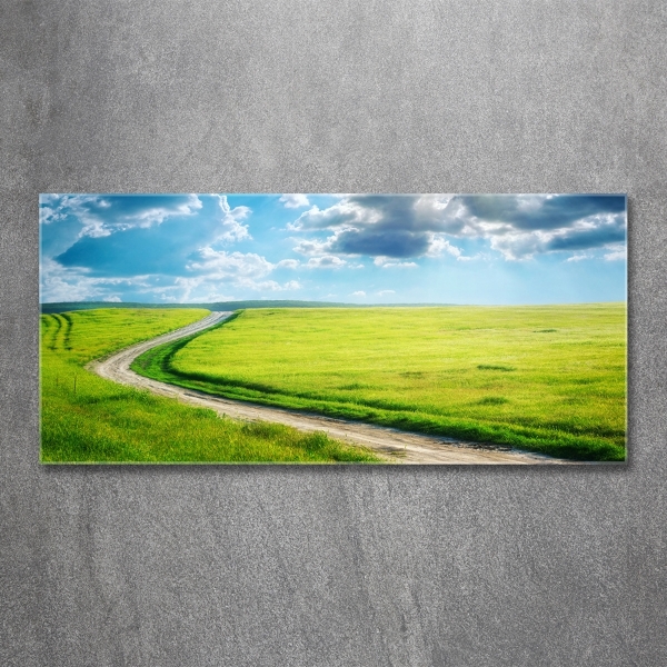 Printed glass wall art Path in the meadow