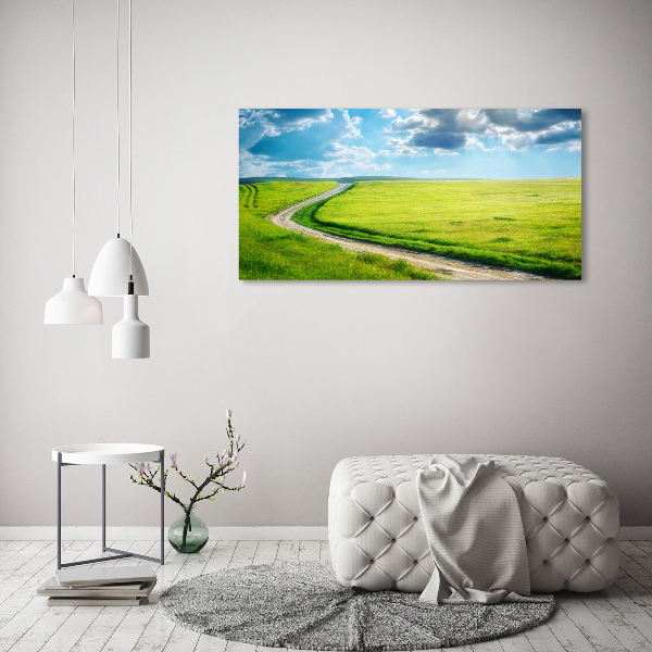 Printed glass wall art Path in the meadow