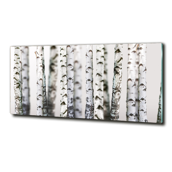 Glass art picture Birch trunks