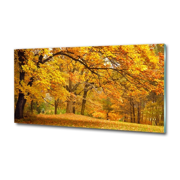 Printed glass wall art Autumn in the park