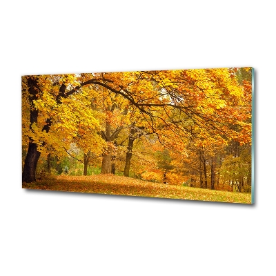 Printed glass wall art Autumn in the park