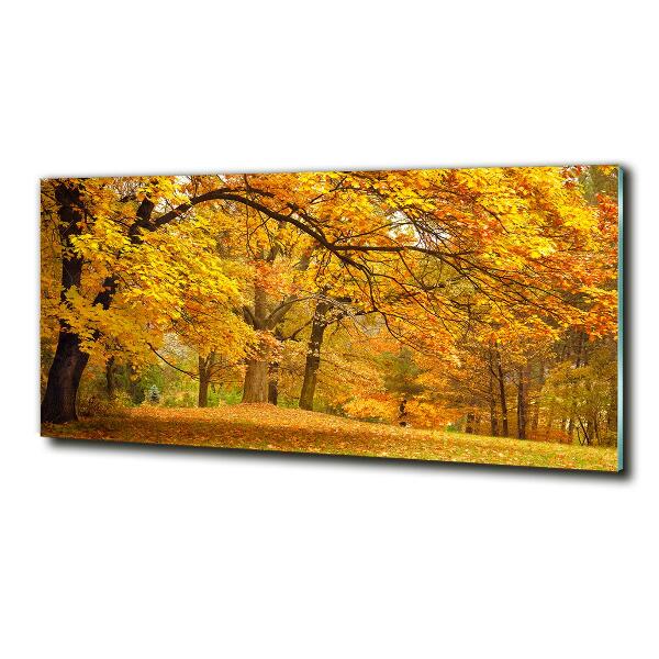 Printed glass wall art Autumn in the park