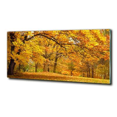 Printed glass wall art Autumn in the park