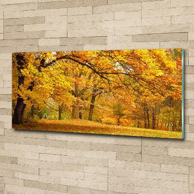 Printed glass wall art Autumn in the park