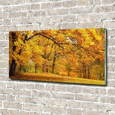 Printed glass wall art Autumn in the park