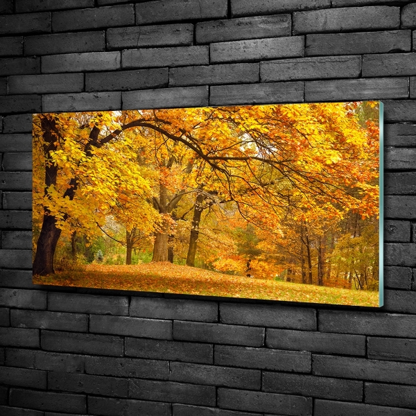 Printed glass wall art Autumn in the park