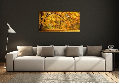 Printed glass wall art Autumn in the park