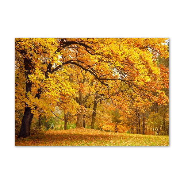 Printed glass wall art Autumn in the park