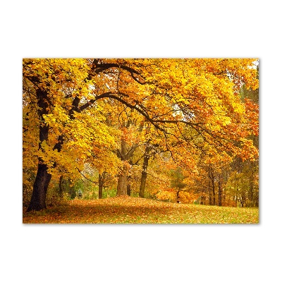 Printed glass wall art Autumn in the park