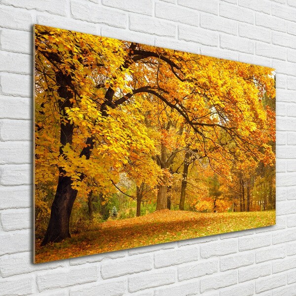 Printed glass wall art Autumn in the park