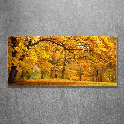 Printed glass wall art Autumn in the park