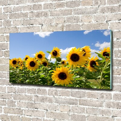 Photo printed on glass Sunflowers