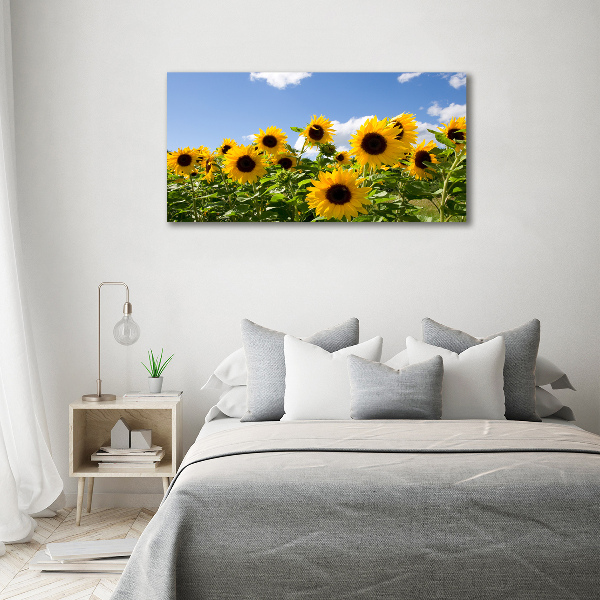 Photo printed on glass Sunflowers