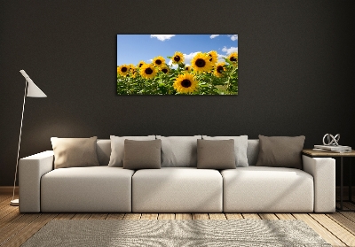 Photo printed on glass Sunflowers