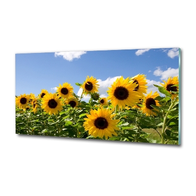 Photo printed on glass Sunflowers