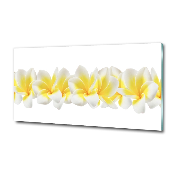 Plumeria