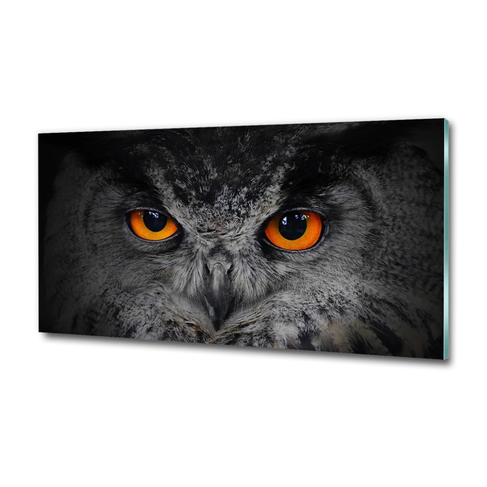 Glass art picture Owl devilish eyes