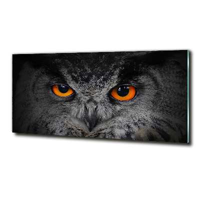 Glass art picture Owl devilish eyes