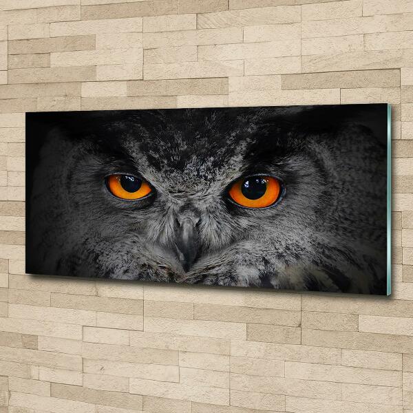 Glass art picture Owl devilish eyes