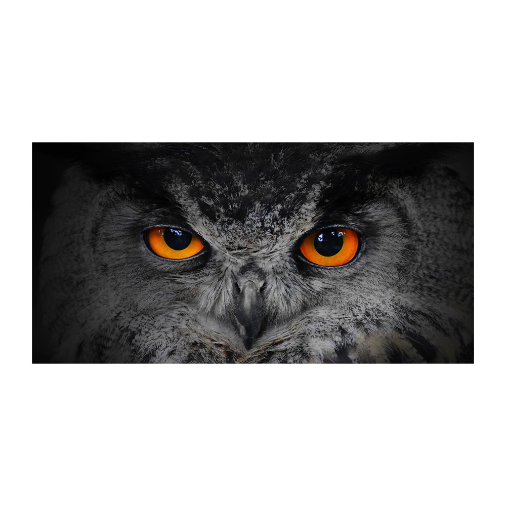 Glass art picture Owl devilish eyes