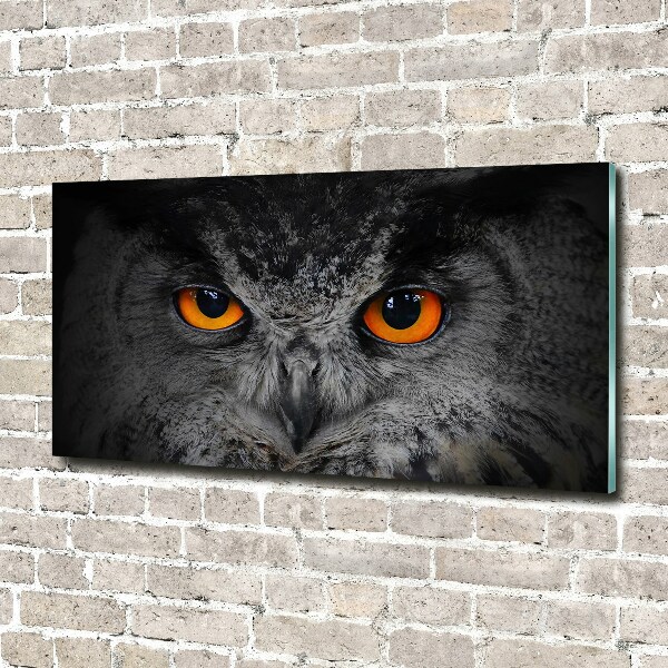 Glass art picture Owl devilish eyes