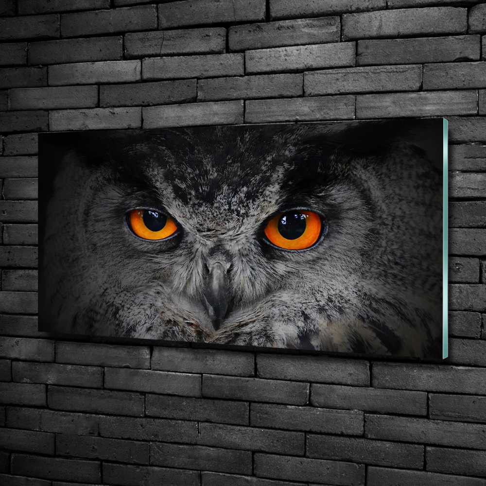 Glass art picture Owl devilish eyes