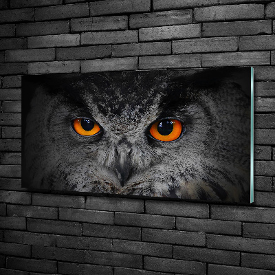 Glass art picture Owl devilish eyes