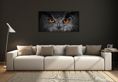 Glass art picture Owl devilish eyes