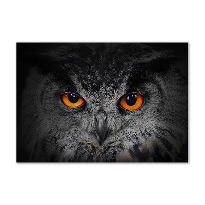 Glass art picture Owl devilish eyes