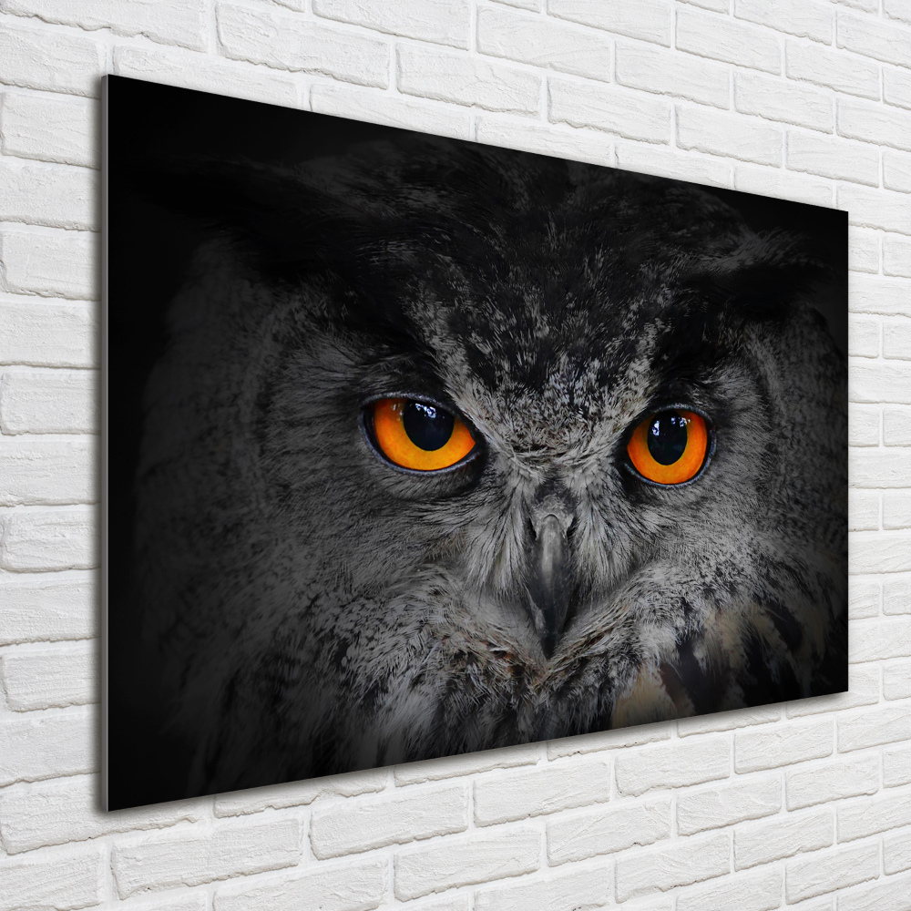 Glass art picture Owl devilish eyes