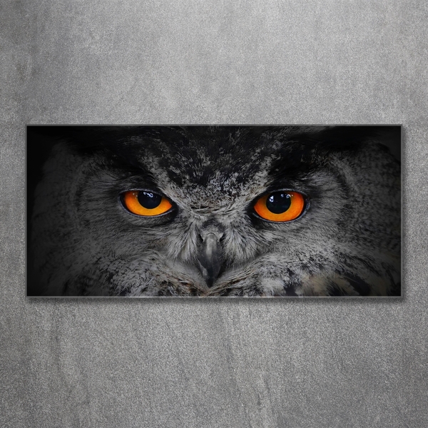 Glass art picture Owl devilish eyes