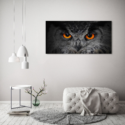 Glass art picture Owl devilish eyes