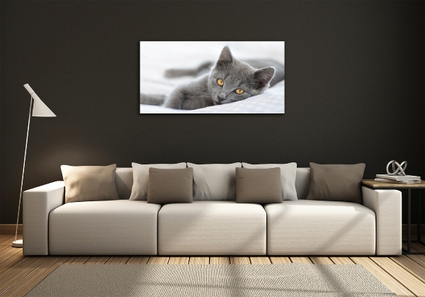 Photo printed on glass Gray cat