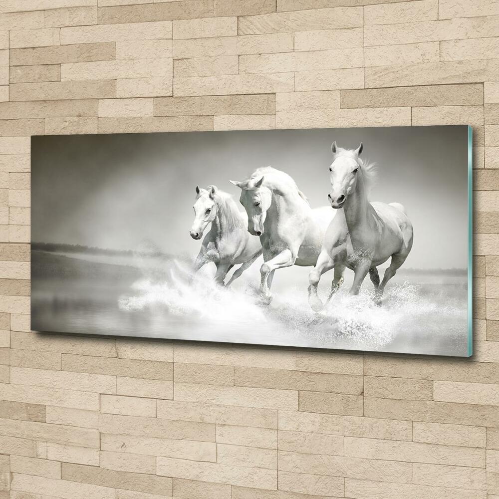 Photo printed on glass White horses