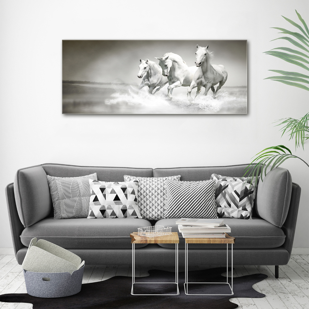 Photo printed on glass White horses