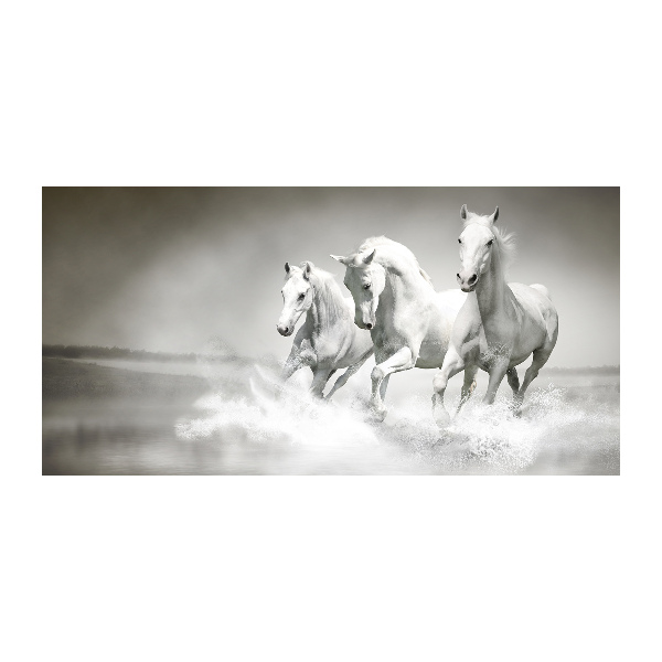 Photo printed on glass White horses