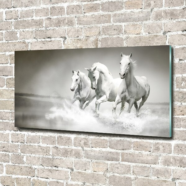 Photo printed on glass White horses