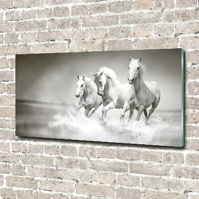 Photo printed on glass White horses