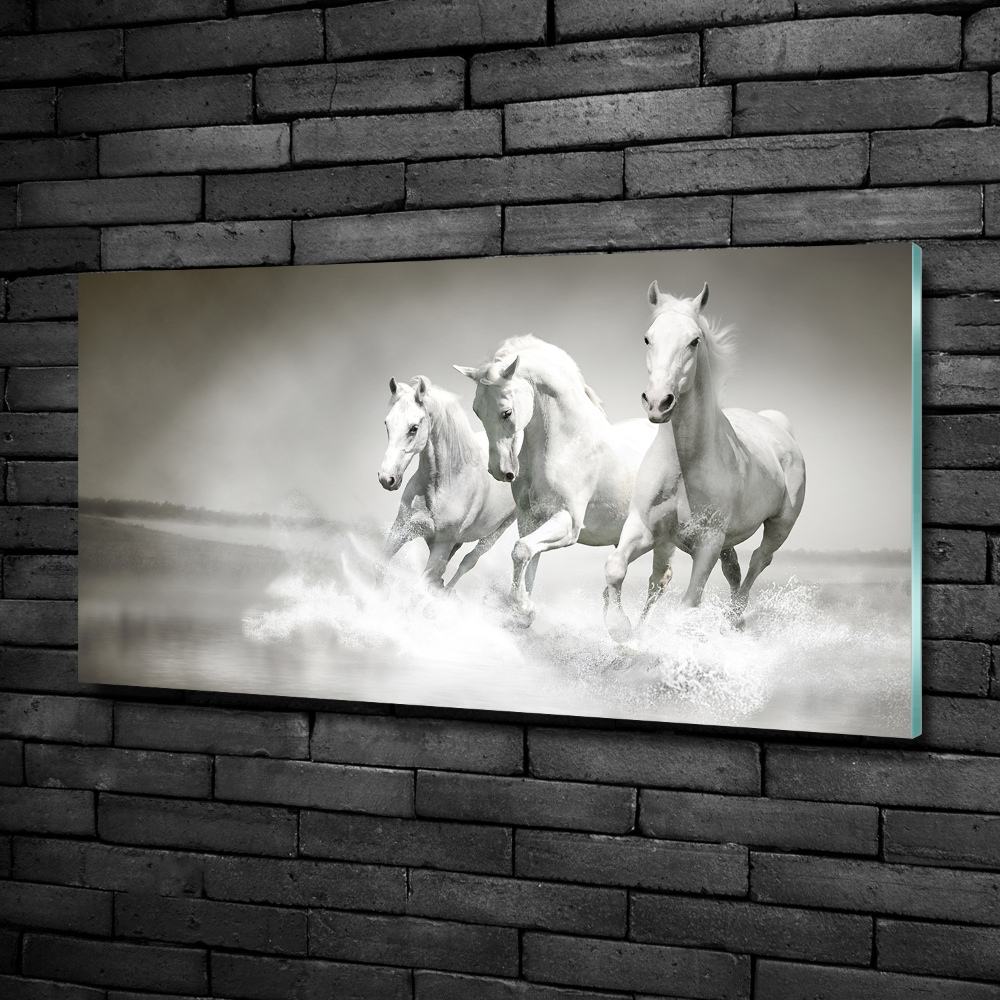 Photo printed on glass White horses