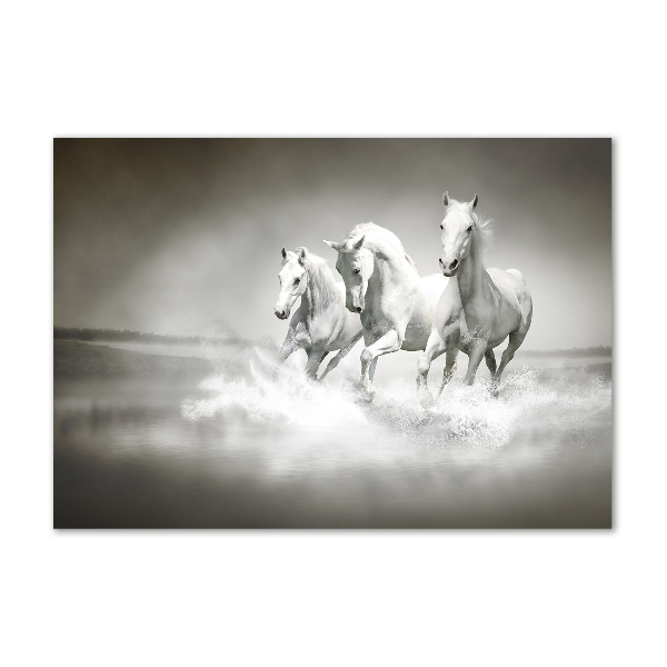 Photo printed on glass White horses