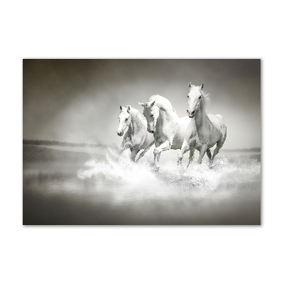 Photo printed on glass White horses