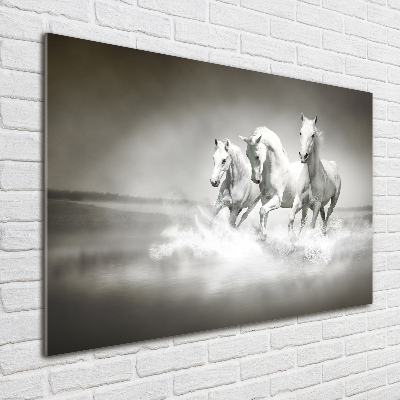 Photo printed on glass White horses