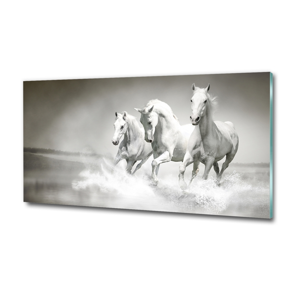 Photo printed on glass White horses