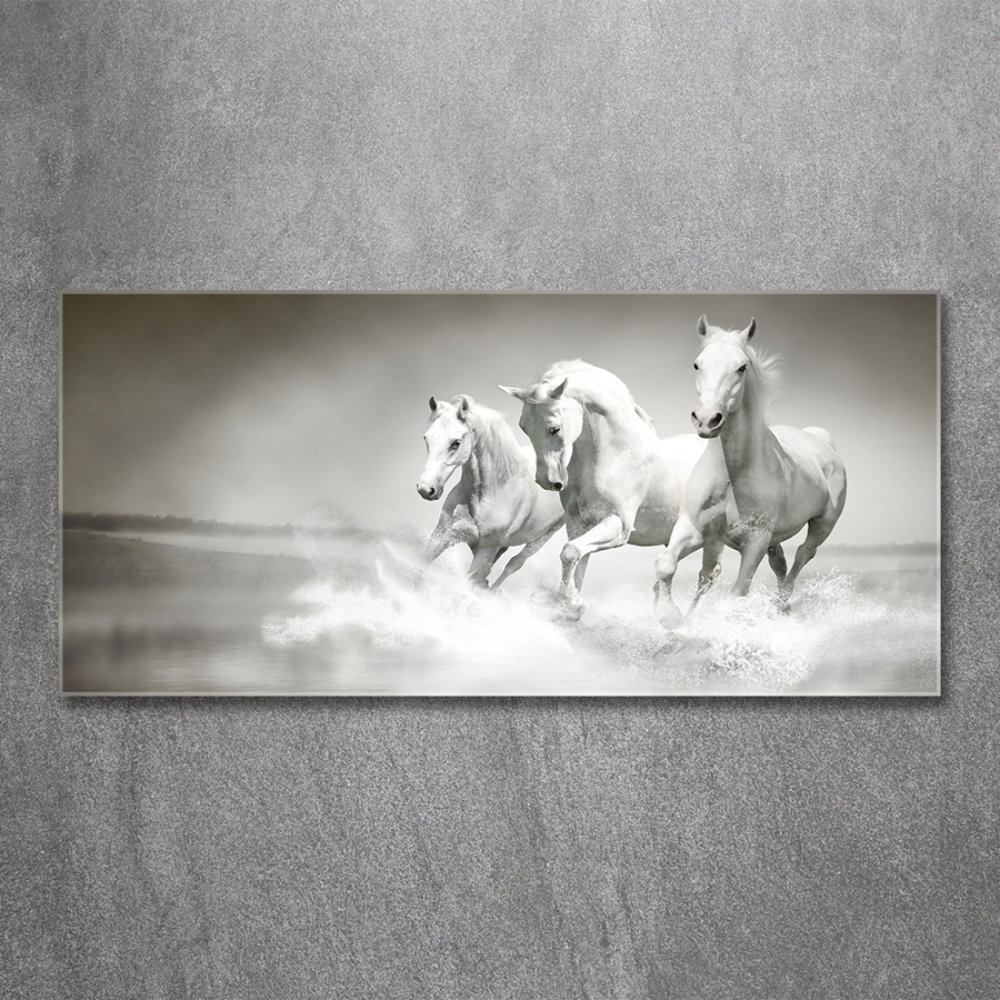 Photo printed on glass White horses