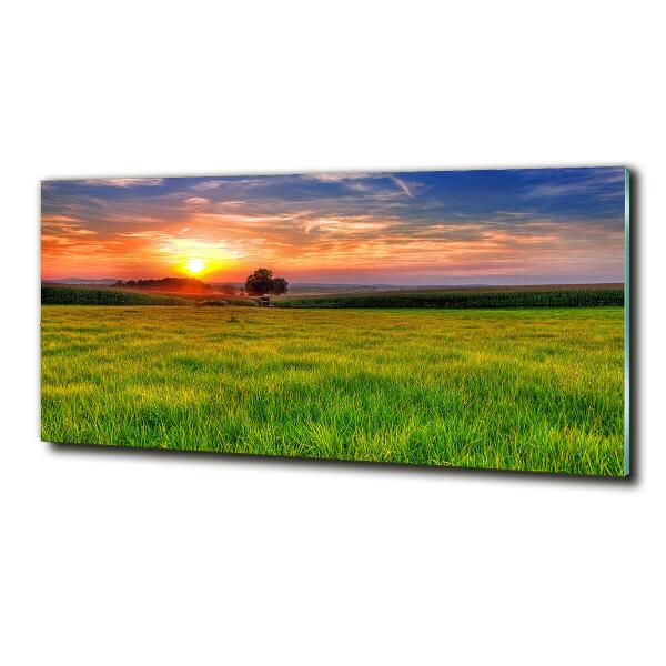 Glass picture wall art Sunset meadow