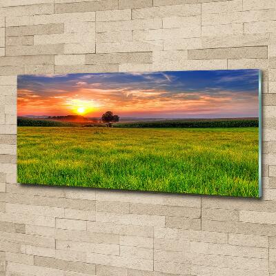 Glass picture wall art Sunset meadow