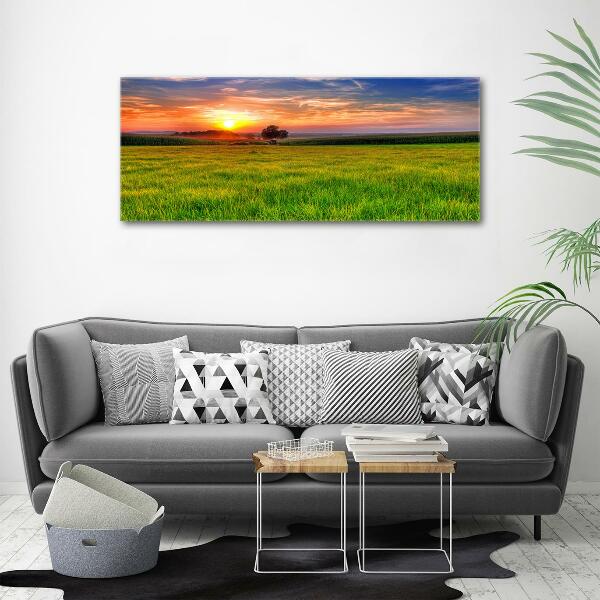 Glass picture wall art Sunset meadow